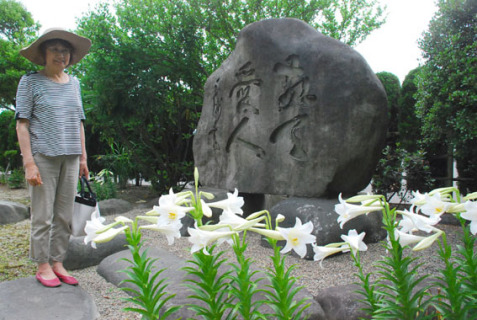 西郷隆盛ゆかりの「えらぶゆり」が咲き誇る南洲神社境内＝24日