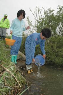 「早く大きくなって」と呼びかけながらサクラマスの幼魚を放流した