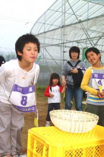 サクランボの種を吹いてかごに入れる競技を楽しむ子供たち