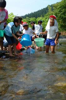 田川小の児童たちが八沢川にアユの稚魚を放流