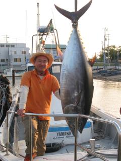 袖岡ふ頭に揚げられたクロマグロと、釣った小平さん