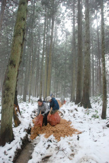 かつて出羽三山詣でに使われたという羽黒山中の古道に木材チップを敷いた