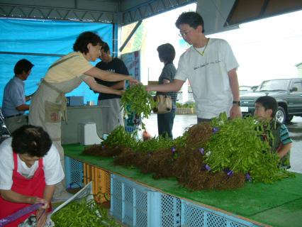 鶴岡白山地区の夏の風物詩として知られる枝豆直売所がオープンした