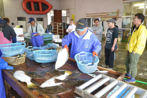 定置網漁で水揚げされた魚の選別作業を見学する応援店の参加者ら＝由良漁港
