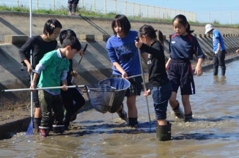 児童たちが貯水池の魚を捕獲、学習した