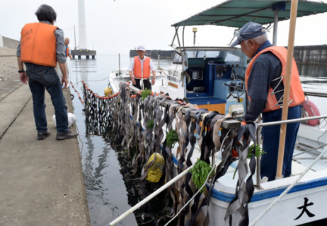 魚介類の「楽園」づくりに向け、海藻に見立てた廃車シートベルトを海中に設置するみなと研究会役員たち＝昨年7月