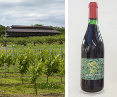 エルサンワイナリー松ケ岡が、鶴岡市の松ケ岡開墾場周辺で栽培するブドウ畑（左）窪畑ファームが砂丘地栽培のブドウで醸造したワイン