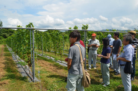 元梨畑だったワイン用ブドウ栽培地で視察が行われた＝櫛引地域東荒屋地区・楯の川酒造ワイナリー