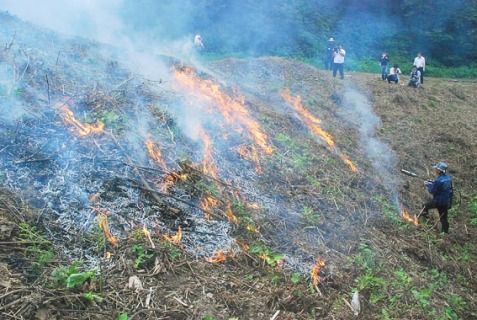 忠鉢さん（右）がバーナーでほ場に火を入れ、枯れ草を焼いた＝24日午前11時すぎ、鶴岡市湯温海