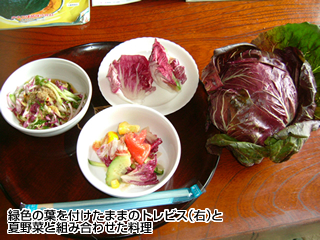 緑色の葉を付けたままのトレビス（右）と夏野菜と組み合わせた料理