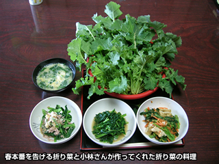 春本番を告げる折り菜と小林さんが作ってくれた折り菜の料理