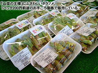 「山菜の王様」にふさわしいタラノメ。1パック200円前後のお手ごろ価格で販売している