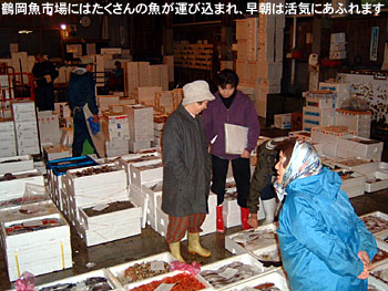 鶴岡魚市場にはたくさんの魚が運び込まれ、早朝は活気にあふれます