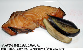 ギンダラも高価な魚になりました。地魚ではありませんが、しょうゆ漬けは「古里の味」です