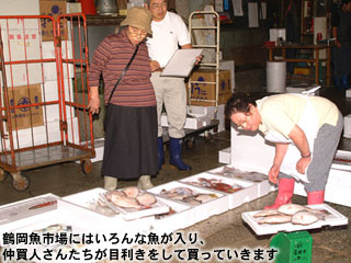 鶴岡魚市場にはいろんな魚が入り、仲買人さんたちが目利きをして買っていきます
