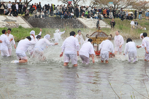 若者が威勢よく神輿に水を掛け、豊漁を願う神輿流し