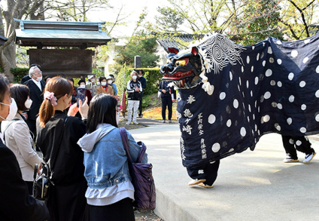 祭り客が見守る中、奉納上演された「亀ケ崎獅子舞」