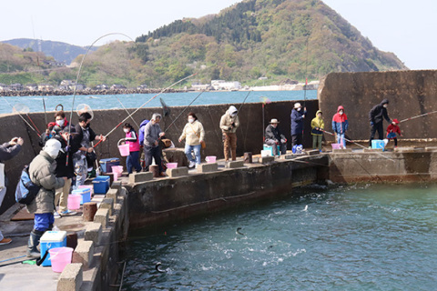 オープンした由良海洋釣り堀。初日は入れ食い状態となり来場者でにぎわう