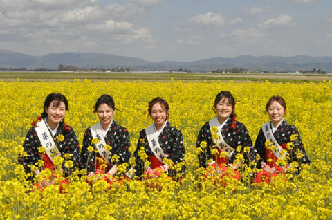 5人の菜の花むすめがにっこり笑顔。左から斎藤朱莉さん、齋藤真貴さん、齋藤彩さん、秋野有沙さん、山口裕々さん