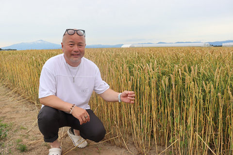 砂地で庄内産小麦の栽培にチャレンジする佐藤さん