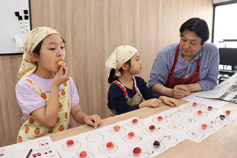 サクランボの食べ比べを楽しむ親子