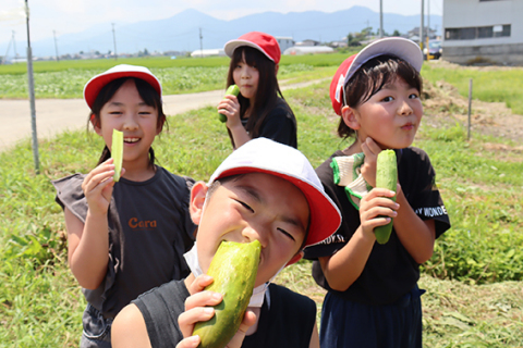 収穫したばかりの外内島きゅうりにかぶりつく斎小の子どもたち