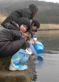 自分たちで育ててきたサケの稚魚を放流