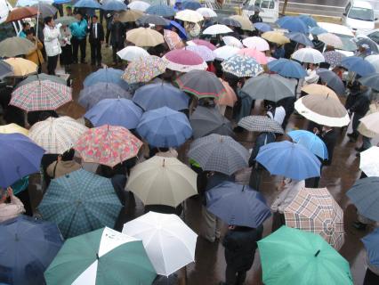 あいにくの雨となった県議選告示の朝、候補者の第一声を聞くため、支持者たちが傘の花を咲かせた＝30日午前9時50分ごろ、酒田市