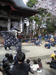 満開のサクラの下、祭り客が獅子舞の見物を楽しんだ