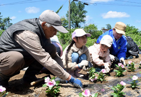 南遊佐地区の3世代が協力して花の苗を植栽