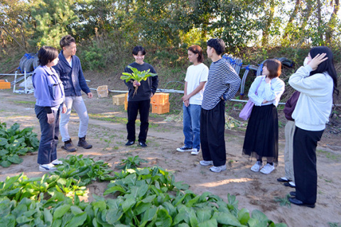 伝統野菜の温海かぶ畑などを見学する学生たち