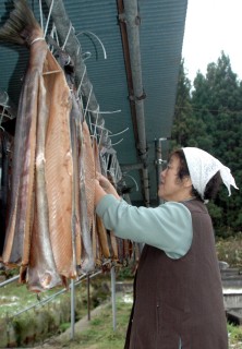 干し場につるされたサケが本格的な冬の訪れを告げる