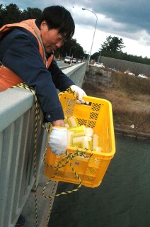 漂着ごみの調査のため赤川に漂流ボトルを放流