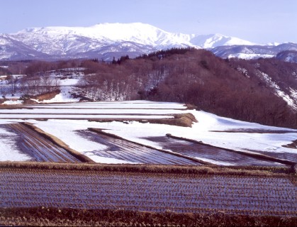 鶴岡市（旧羽黒町）海谷森にて早春の月山を望む＝1998年4月4日、自然写真家・斎藤政広撮影