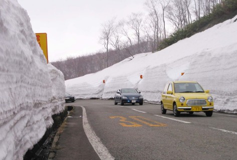 開通を待ちかねた行楽客が3メートルを超える残雪に囲まれてドライブ