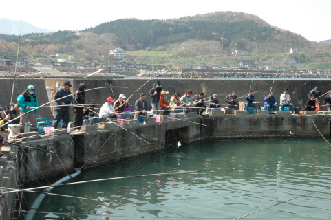 大勢の太公望たちが次々と魚を釣り上げた