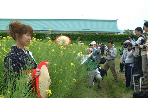 カメラマンのリクエストににっこり笑顔で応える菜の花娘