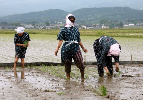 ハンコタンナ姿で田植えをする児童たち