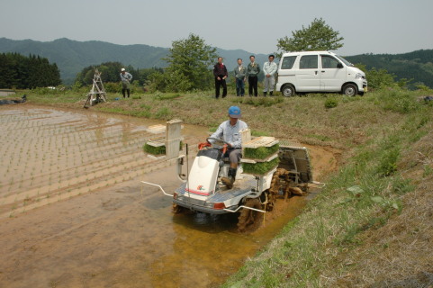 摩耶山ろくの水田で酒米の田植えをした