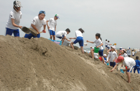 巨大な砂のアートづくりに取り組む湯野浜小の児童たち