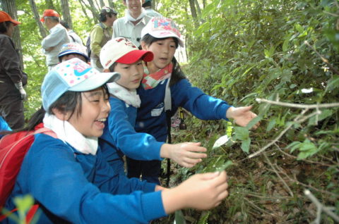 地元の学校林に自生する樹木を観察する児童たち