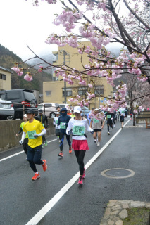 桜が咲いた温泉街をランナーたちが駆け抜けた