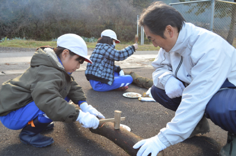 児童たちが原木ナメコの植菌に挑戦した