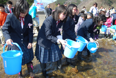 卒業生らが五十川小として最後のサケの稚魚を放流