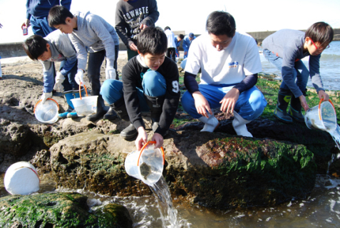 「波が来たタイミングで放流して」。高校生たちの指導でヒラメなどを放流する加茂小の5、6年生たち