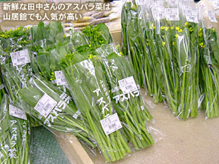 新鮮な田中さんのアスパラ菜は山居館でも人気が高い